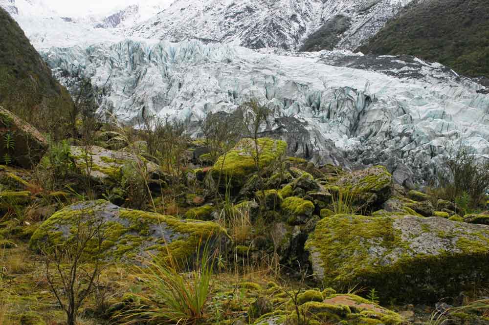 138 - Nueva Zelanda, glaciar Fox